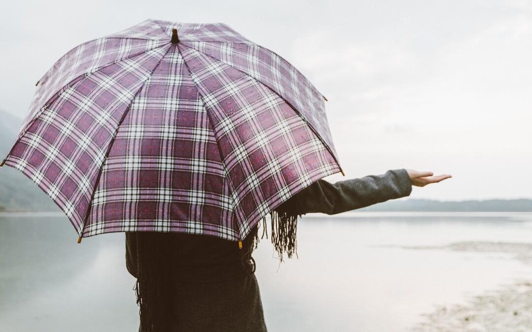 Comment choisir un parapluie résistant au vent ? - Le Parapluie de